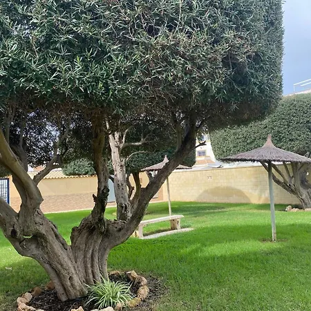 With Equipped Solarium Barbecue And Swimming Pool